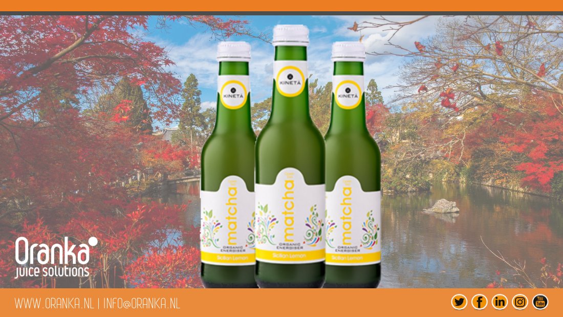 Rondom matcha thee bestaan veel verhalen en wordt er veel aan toegeschreven. Wij zochten het voor u uit. Heeft u ons blog hierover al gelezen? bit.ly/2r4eqDd #biologisch #matcha #frisdrank