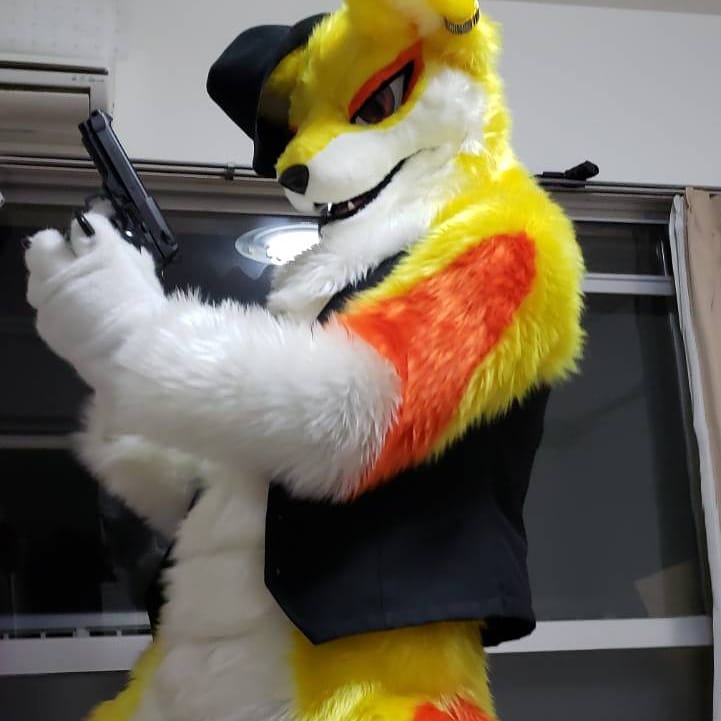 628wolf_Noah's tweet photo. 犬工房さん(@Doggy_Studio)より、狼の『ノア(Noah)』をお迎えしました。これからいろいろと活動して行きたいと思っておりますので皆様よろしくお願いします。 https://t.co/mLJ6EhAgk2