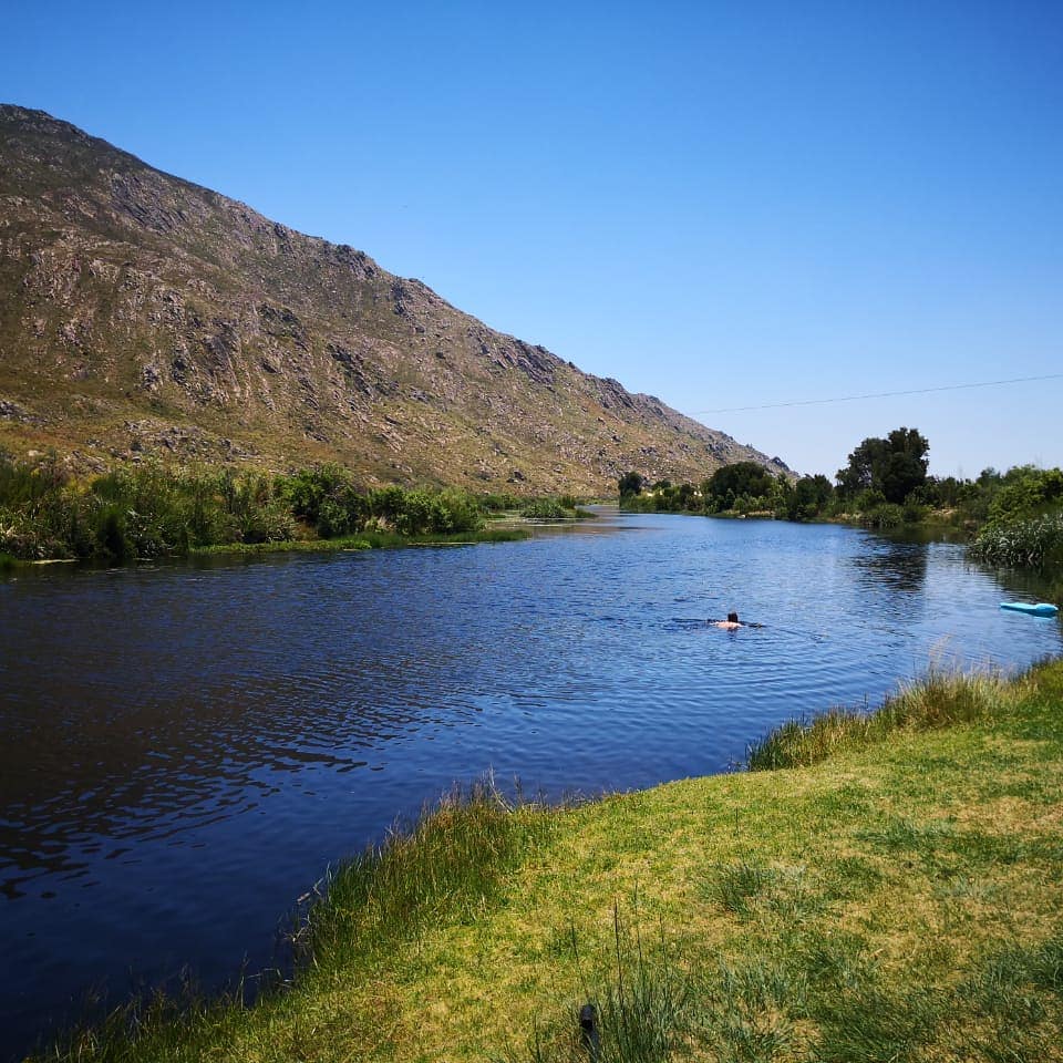 SXplorerTours's tweet photo. Join us for an authentic West Coast experience. Revisit San history, learn about Fynbos, taste Rooibos and chill in the Olifants River! All on our West Coast adventures. #westcoast #southernxplorer #cederburg #satourism #travelnownow #shotleft #wedotourism #travel_southafrica https://t.co/ssHPx6hi8K