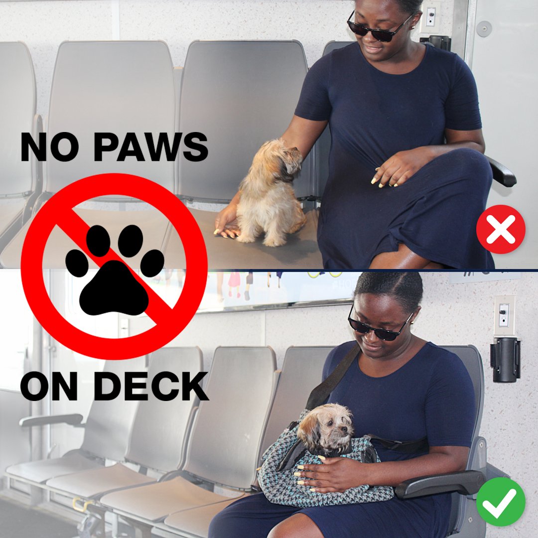 Can Dogs Go On Nyc Ferry