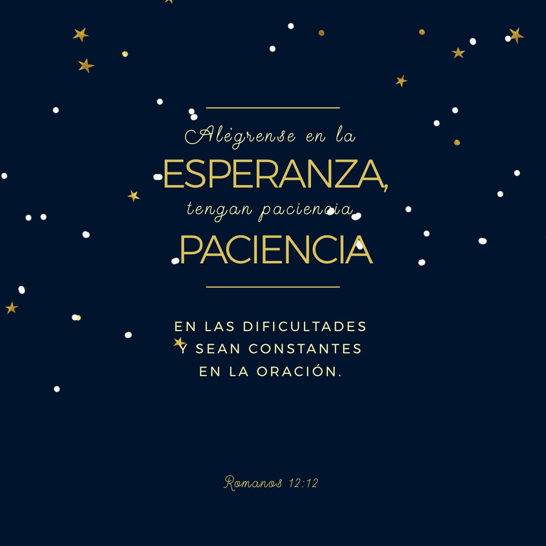 AlfonsoBocache's tweet photo. “Alégrense en la esperanza, tengan paciencia en las dificultades y sean constantes en la oración.”
Romanos 12:12 PDT https://t.co/33lctkfGHp