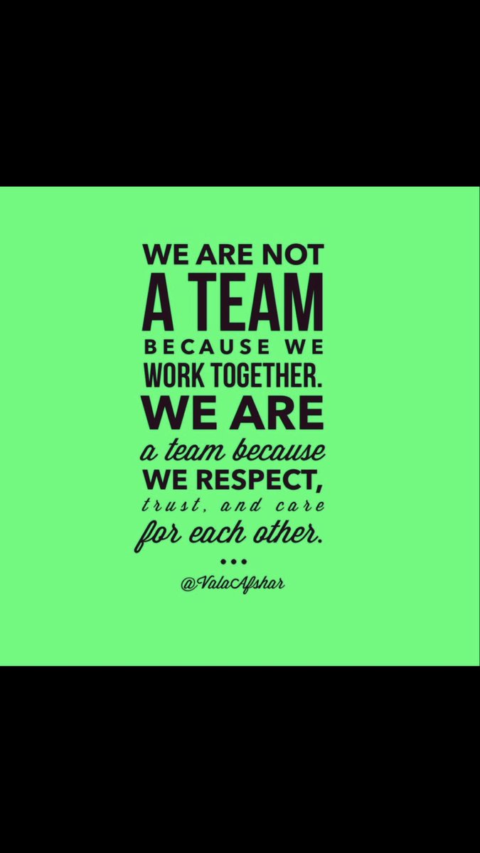 Lady_vikessoftball tweet media