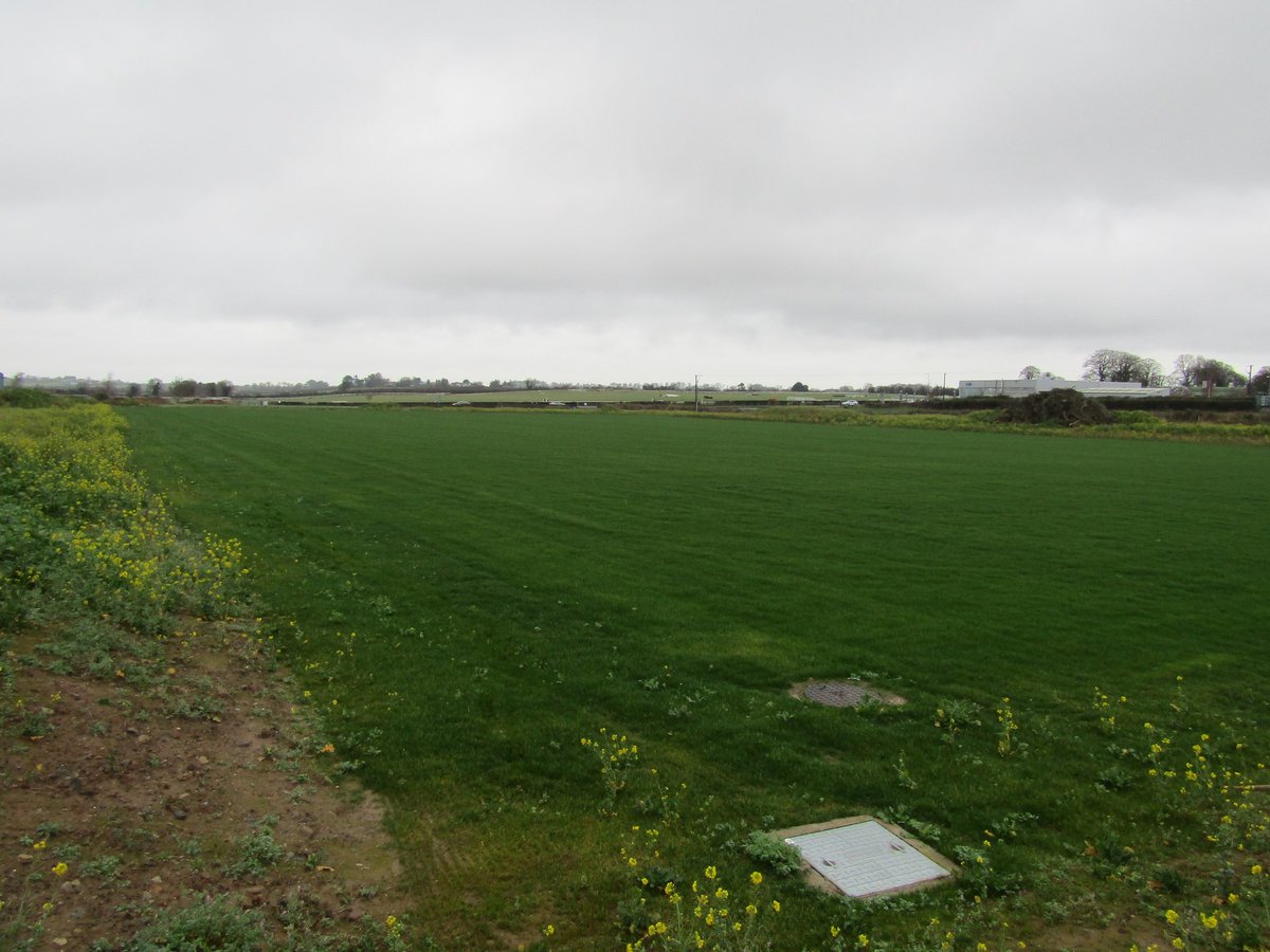 thurlessars's tweet image. Some photos of the new pitch taken earlier today #pitchdevelopment #GAA