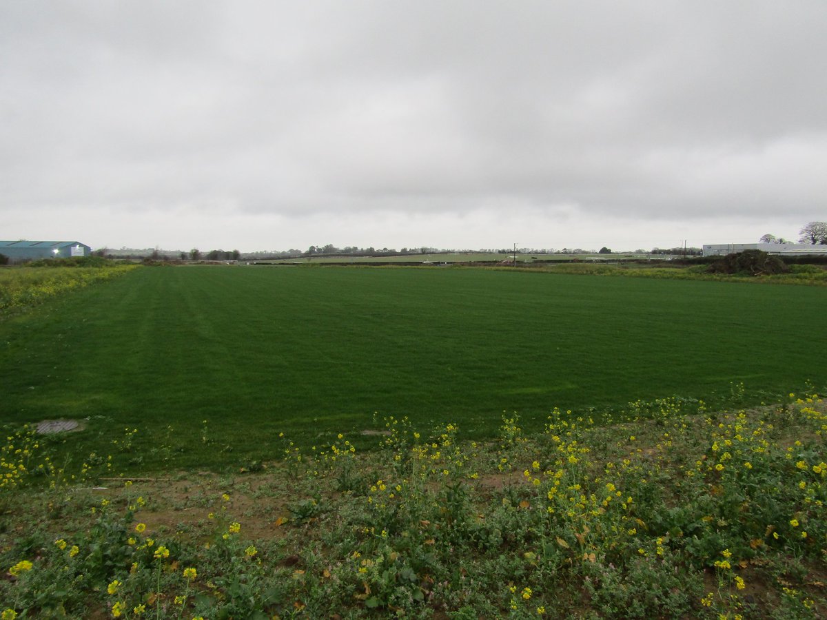 thurlessars's tweet image. Some photos of the new pitch taken earlier today #pitchdevelopment #GAA