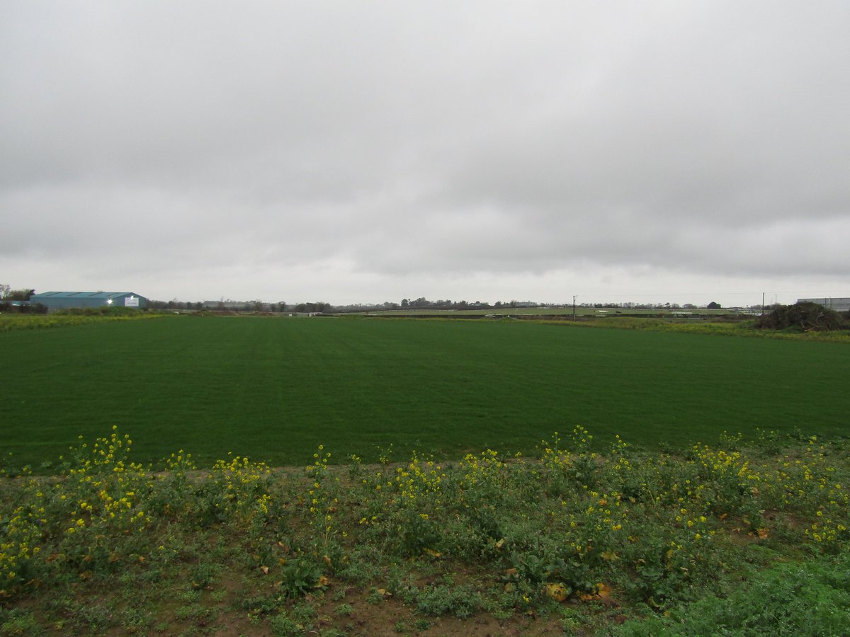 thurlessars's tweet image. Some photos of the new pitch taken earlier today #pitchdevelopment #GAA