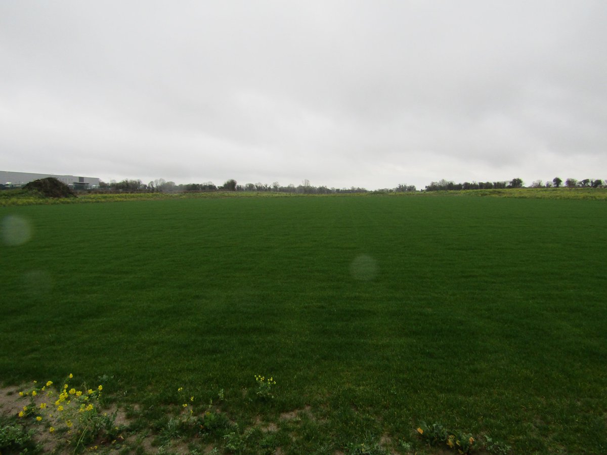 thurlessars's tweet image. Some photos of the new pitch taken earlier today #pitchdevelopment #GAA