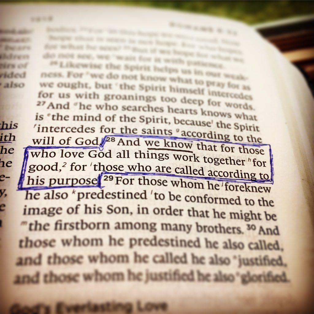 This verse never fails to stop me in my tracks as I'm reading through Scripture. And let me tell you that I've been CLINGING to it's promise these pay few weeks. God is good y'all, and he's faithful. Through highs and lows He's got a plan and has us covered in it all!