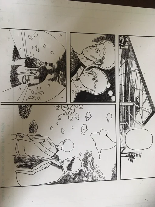 水族館は光と陰を表現するのに1番向いてるきがする

かけ網描くの楽しい 