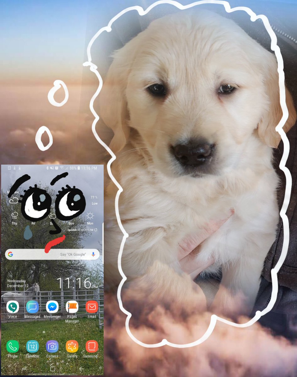 smart_breakup's tweet photo. I'm so alone... and she's not even trying to locate me with my "lost phone app". She's probably off playing with puppies... and I'm just...off.

#smart_breakup
#DroppedPhone
#2019IsGoingToBeLonely
#SmartPhones
#SoMuchForModernTechnology
#SocialMedia https://t.co/Ak4kQHWVV6