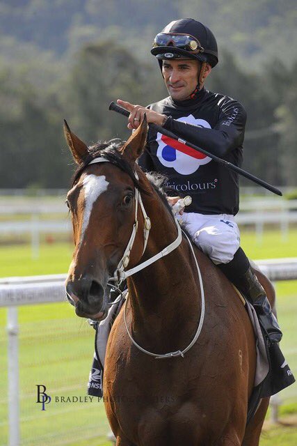 tricoloursR's tweet photo. Can she be the first mare to win the Belle of the Turf twice? Pecans lines up today for @PrideRacing and @Coreyjockey to defend her 👑. Best of luck to all her owners! #goroxy https://t.co/IxrU0fHnv0