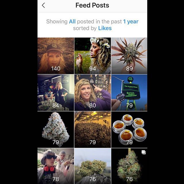 Thank you #instagramfam for all the love this year. We appreciate every one of you. #happynewyear #cheers •
•
•
•
•
#OMMF #ommfarm #olympicmountainmanfarm #WAgrown #benzofarms #pnwstoners #pnw #portangelesstoners #washingtonstoners #weed #cannabi… bit.ly/2EQLck5