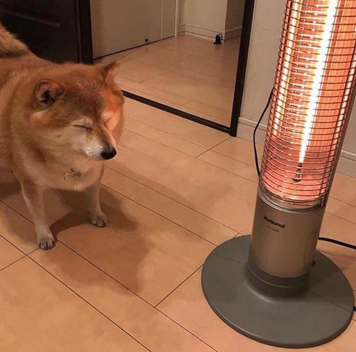 StealthyMoose's tweet photo. Same energy https://t.co/7vMm3Qp4Ch