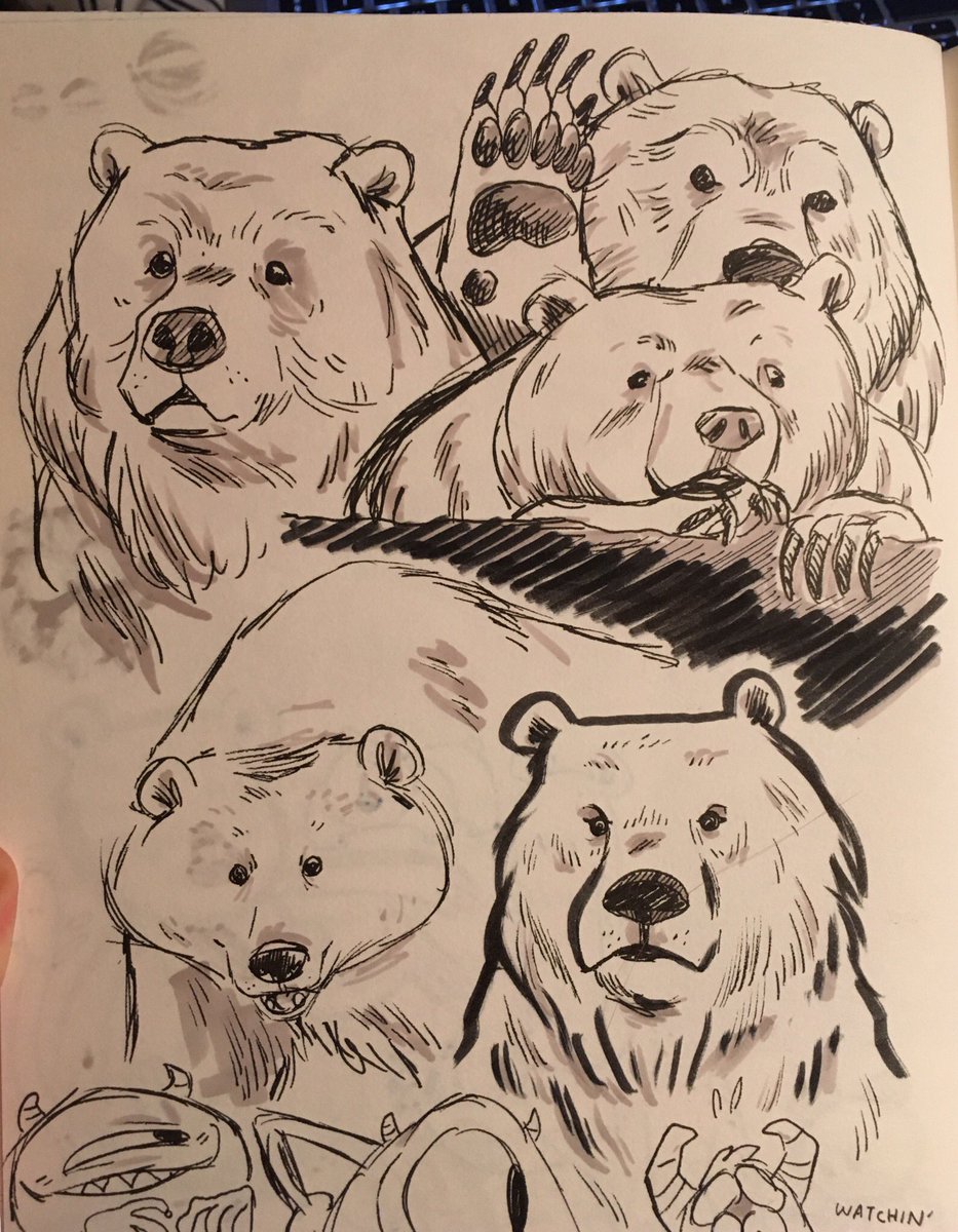 Sketchin 3 minute BEARS in me sketchbook 