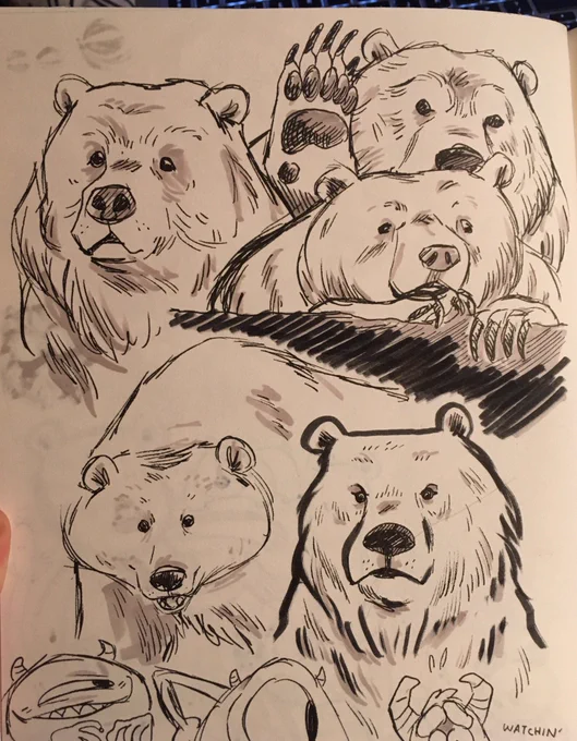 Sketchin 3 minute BEARS in me sketchbook 