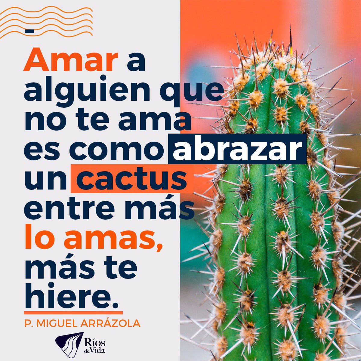 MiguelArrázola tweet media