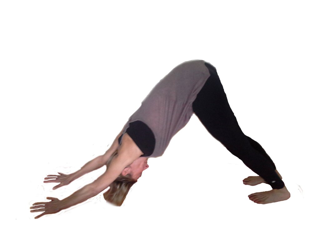 Le Yoga excellent complément des Skieurs yogannb.wordpress.com/2018/12/27/le-…