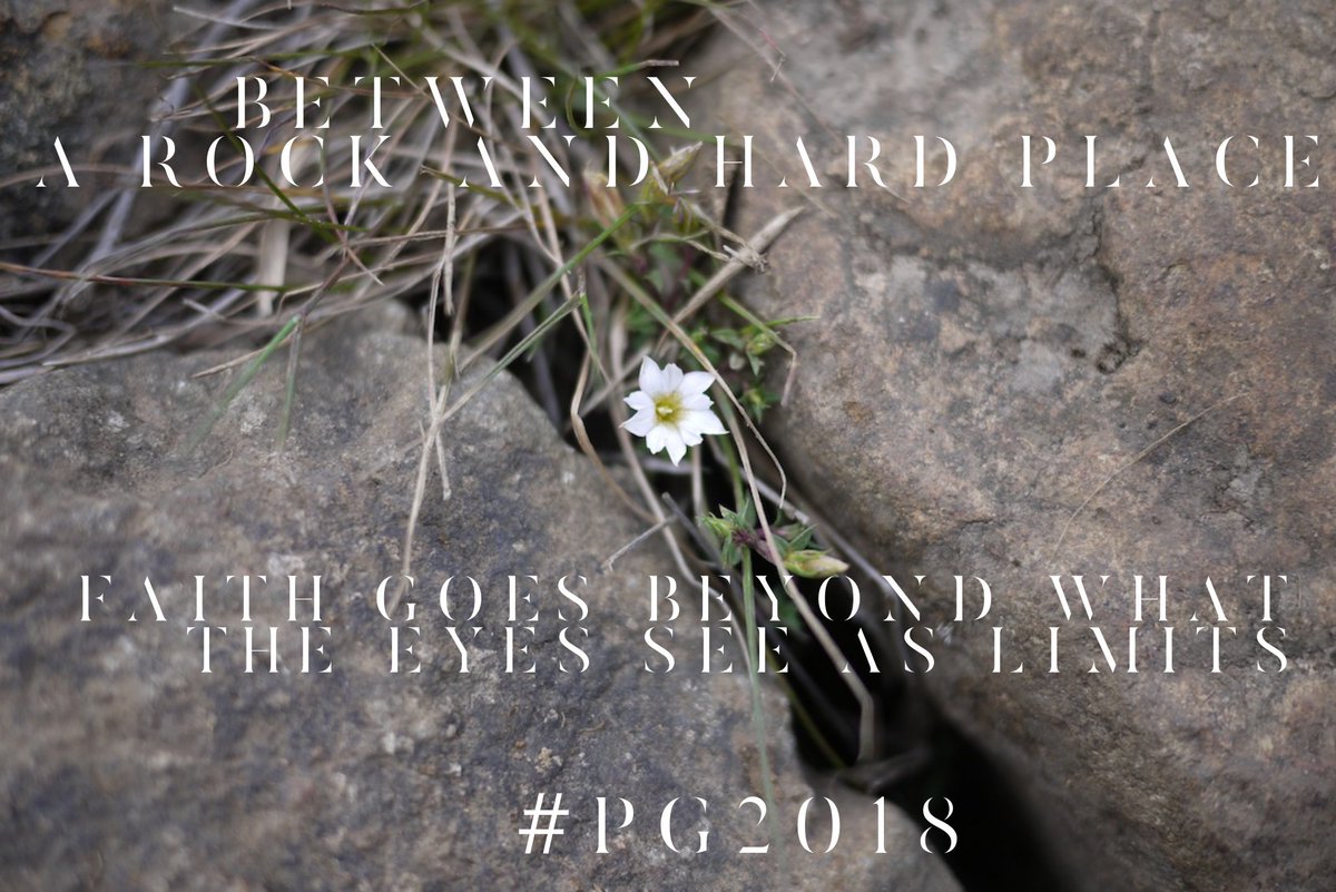 LifesRev's tweet photo. Between a rock and a hard place?
Faith goes beyond what the eyes see as limits
#PG2018 https://t.co/9QBEnsgW2B