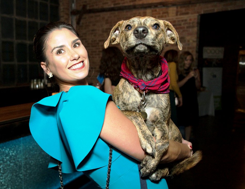 CandidCandace's tweet photo. The record-breaking #HoundstoothBall benefited @onetailatatime and supported its animal rescue mission. See cute photos and read all about this heart-warming event in @ChiTribLife / @chicagotribune : https://t.co/UwfIVYfdEU https://t.co/zH3w01dTaE