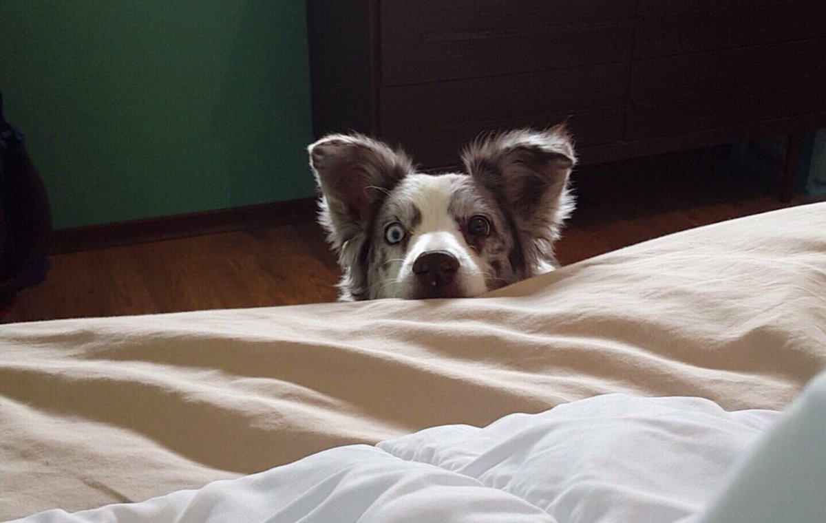 got any games on yo phone