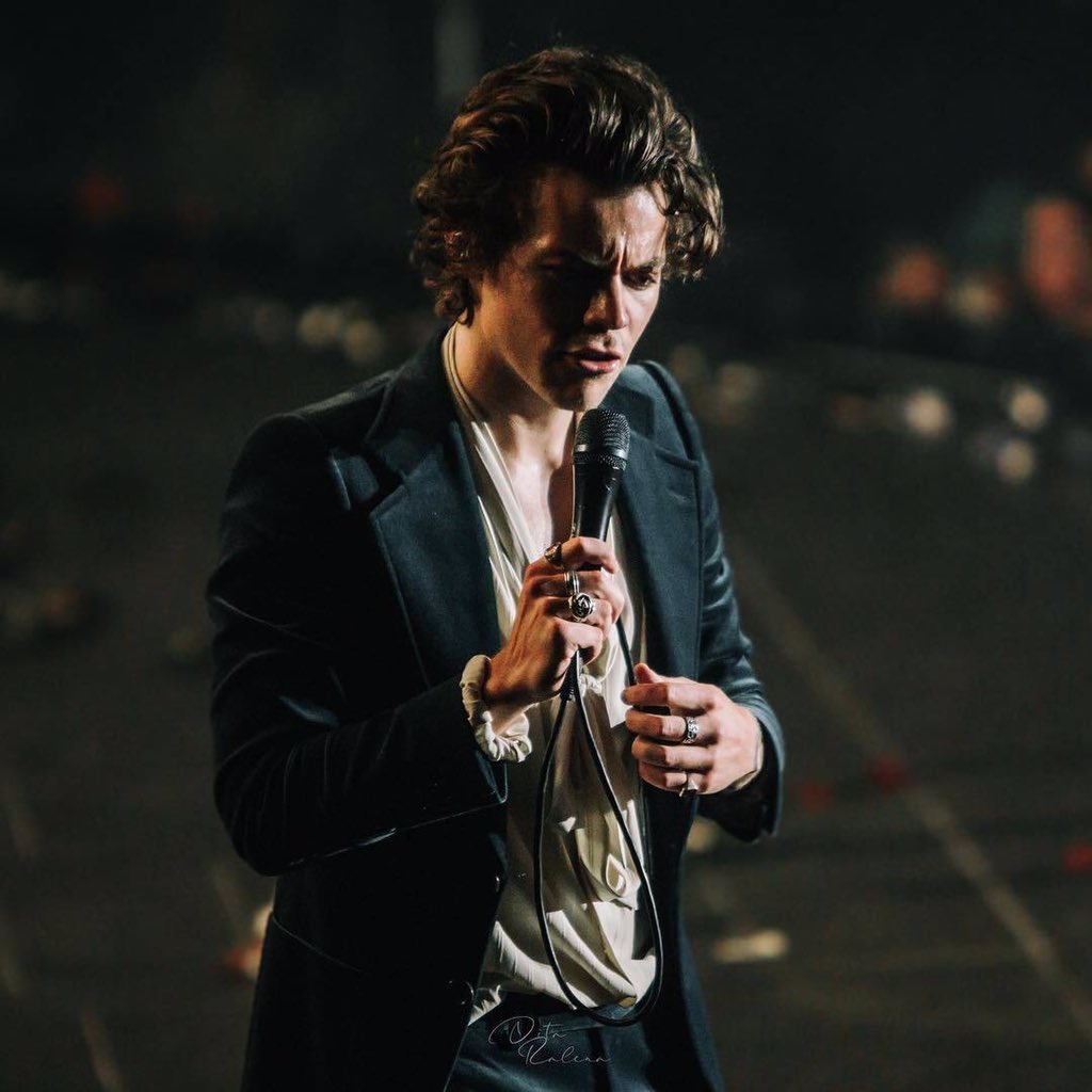 best harry pics tweet media