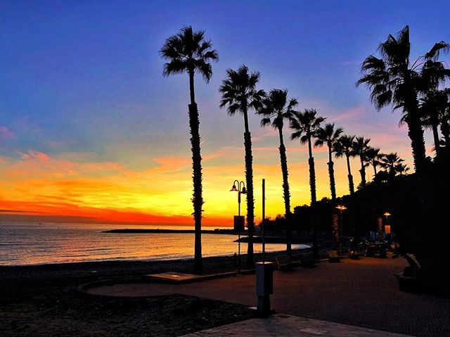 jojoska5's tweet photo. Un classico sempre diverso ❤️ #sanlorenzoalmare #Liguria #liguria_super_pics #volgoliguria #volgoimperia #ig_ligurianpeople #ig_liguria #ig_liguria_ #loves_liguria #loves_united_liguria #vivoliguria #ilsecoloxix #lamialiguria #myLiguria #liguriamoremio #… https://t.co/fPXA0OgaP6 https://t.co/7eboHsIQvo