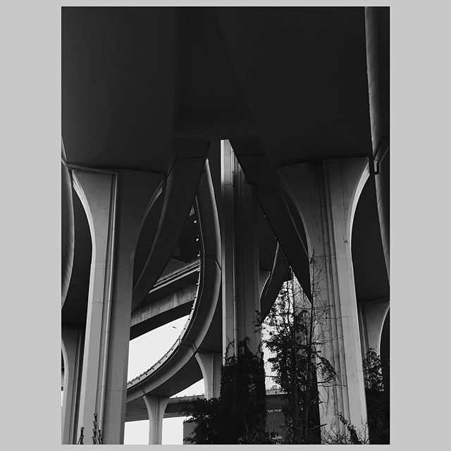 mwojtkiewicz's tweet photo. Chongqing infrastructure permanently buzzing over your head. #chinadaily #natgeo #foreignoperations #bw #blackandwhite #noice #rentalmag #theweekendwalkabout #landscapephotography #travel #china #chongqing #changjiang #yangtze #newtopographics #documenta… https://t.co/G4PqSIkkZv https://t.co/fx2CD8WnUW