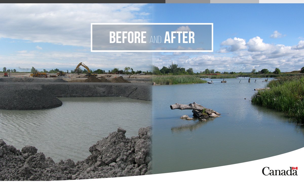 #DYK? The <a href="/TRCA_TTP/">Tommy Thompson Park</a> wetland was created to help restore fish and #wildlife habitat in the Toronto #AreaofConcern. Do you have a project that could help protect the #GreatLakes? Apply for funding by Jan. 11! ow.ly/7kfp30mRgkr