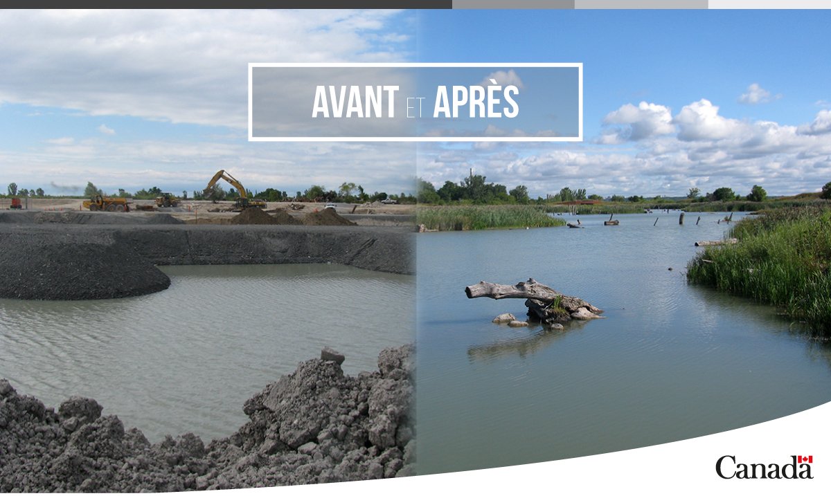 #SVQ le milieu humide <a href="/TRCA_TTP/">Tommy Thompson Park</a> a été créé pour restaurer l’habitat du poisson et de la #faune du secteur préoccupant de Toronto. Une idée de projet pour protéger les #GrandsLacs? Présentez une demande de financement d’ici le 11 janvier! ow.ly/wARX30mRgsy