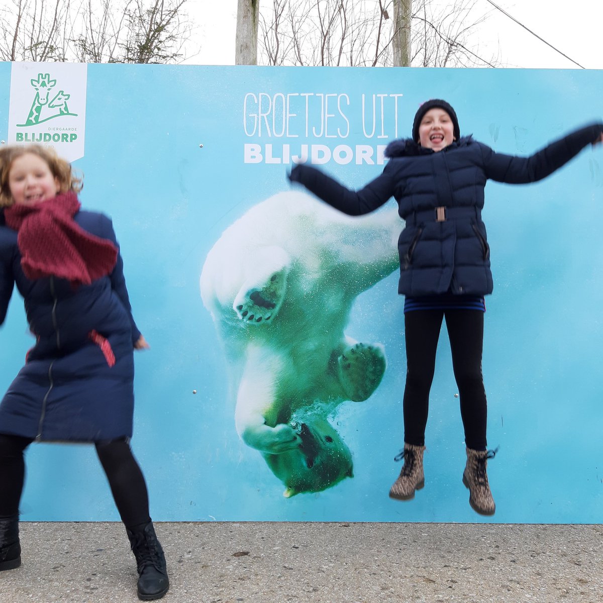 AngelaH24's tweet photo. #groetjesuitBlijdorp
Wat was het een heerlijk dagje, lekker rondstruinen in @RotterdamZoo! We waren zeker niet de enige, maar diertjes kijken is en blijft leuk! Tot snel weer als de papa's ook weer mee kunnen! https://t.co/pvKcyu6Lqj