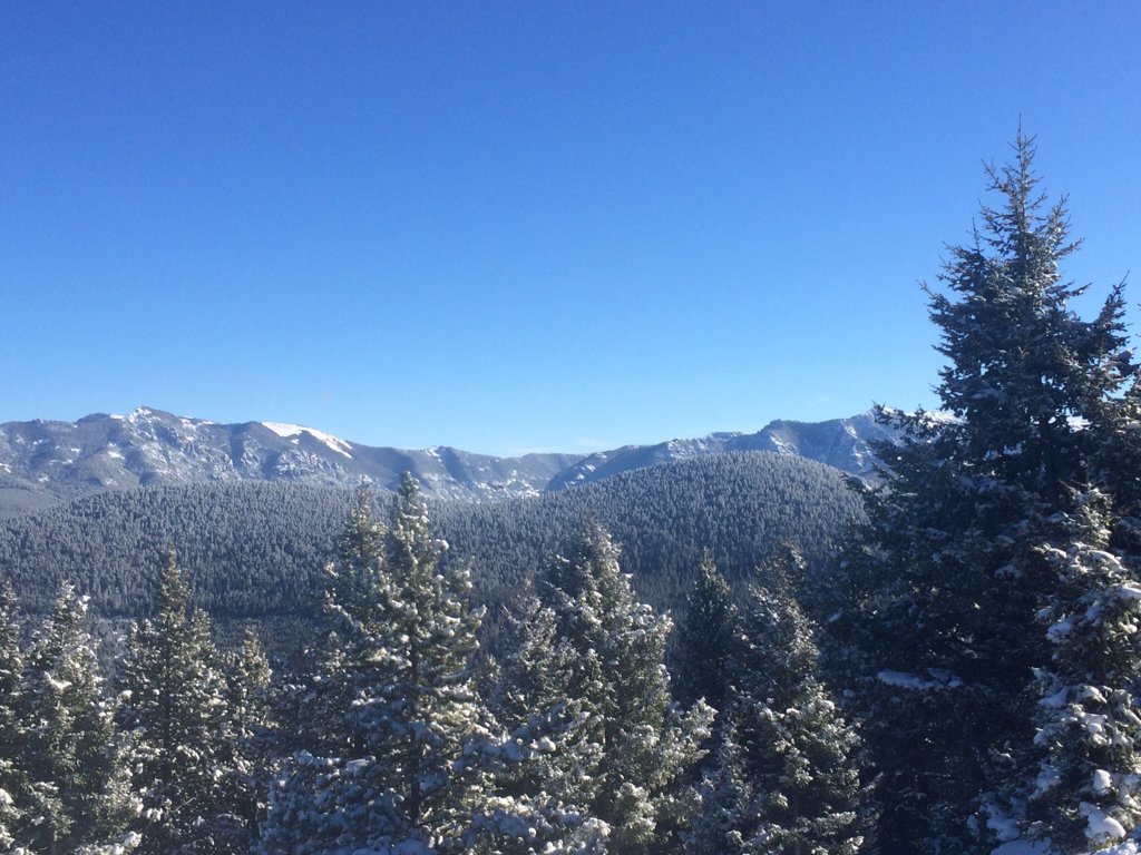 Wishing you a safe and happy New Year! We’ll be open regular hours on Monday and closed on Tuesday for the holiday.