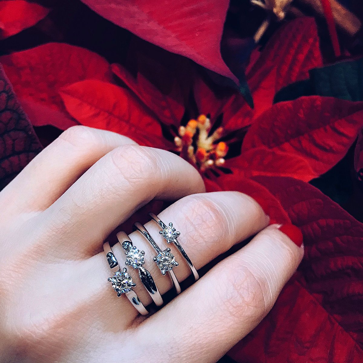 JoieriaMoner's tweet photo. Diamants, per sempre 💎 | Solitaris d’or blanc fets a mà al nostre taller 🙌🏼🔨 amb molt d’amor | Qualitat, artesania i dedicació | #joieriamoner https://t.co/LPi2zZbJHB