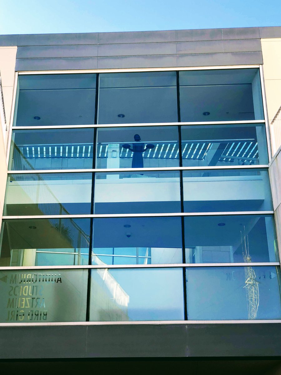 Hey up there! 😀 #birdgirl #visitsavannah