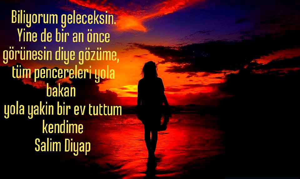 Salim Diyap (@diyap_salim) on Twitter photo 