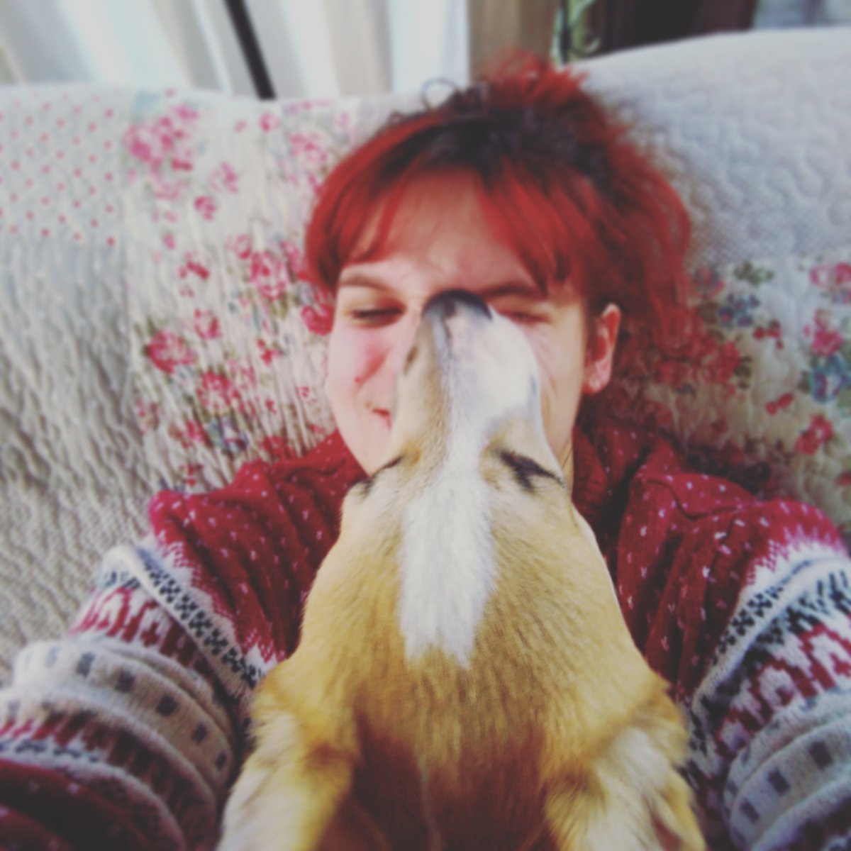 OneArtivist's tweet photo. RECOVERY - DAY 22
Double Recovery Selfie
Three weeks. Almost a month without harming myself. And the little fennec has a lot to do with it. (But also good medication and SLEEP).
#BirdSetFreeProject #RecoverySelfie #love #BPD #Happiness #mentalhealth #MentalIllness #dog #puppy https://t.co/paYHK4qrTY