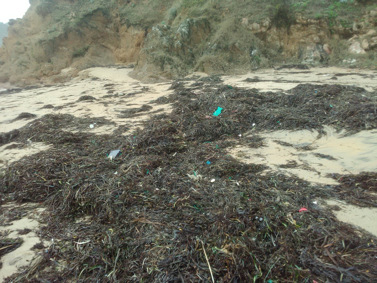 kerou66943729's tweet photo. Des déchets à gogo
overdose et mal au dos !
A quand des filets de pêche biodégradables ? https://t.co/QBnMw3VRoB
