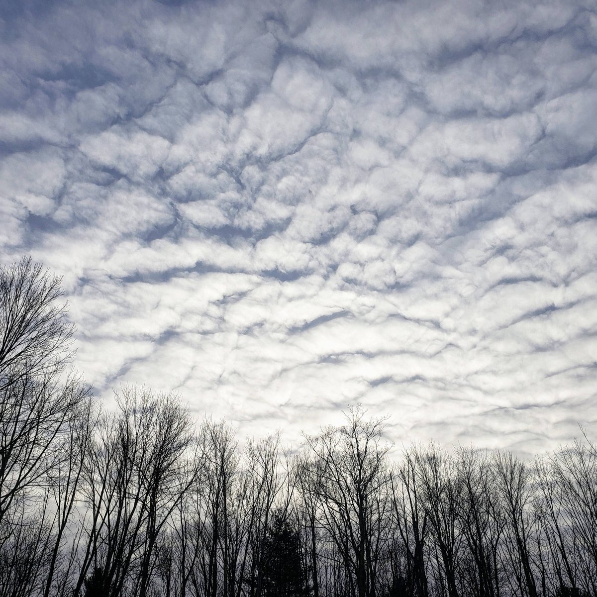 The Marble West Inn tweet media