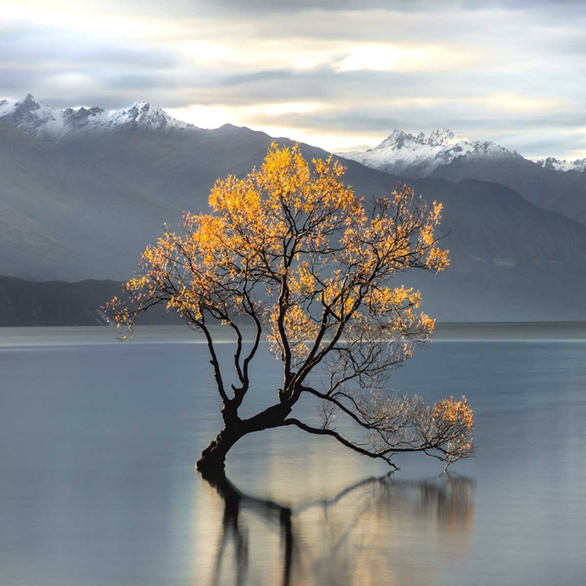 AffordableFrame's tweet image. Come see beautiful prints at Affordable Framing like Pure Undisturbed by Michael Cahill, published by @CAPandWinnDevon.