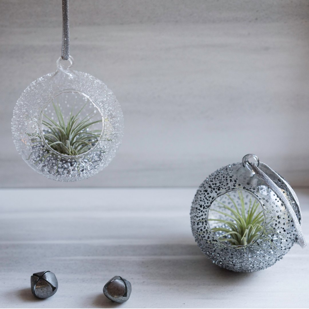 LiveTrends Design tweet media