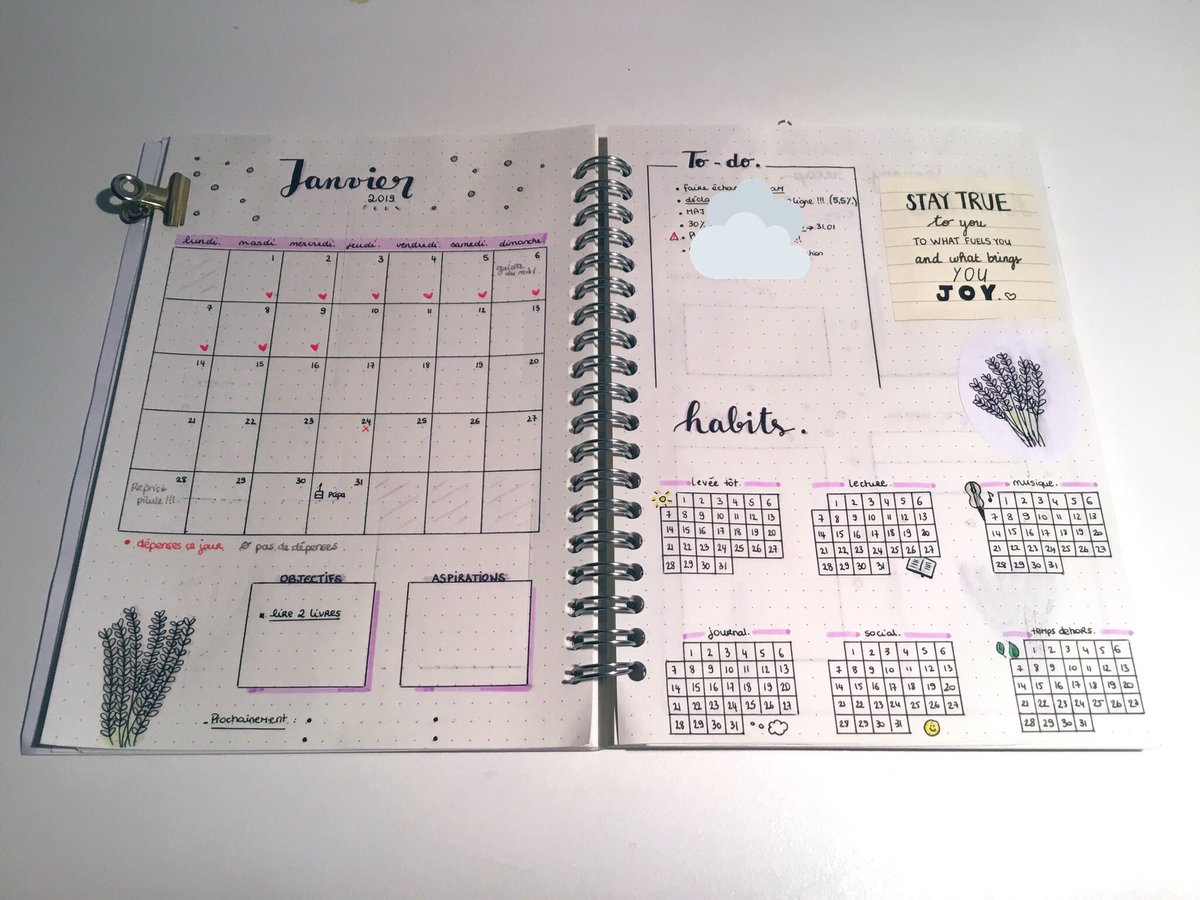_mllelovato's tweet photo. Mon nouveau spread pour le mois de janvier est si joli. C’était, comme toujours, très méditatif à faire. ☁️✍🏼 #bulletjournal https://t.co/imMhPvL4wk
