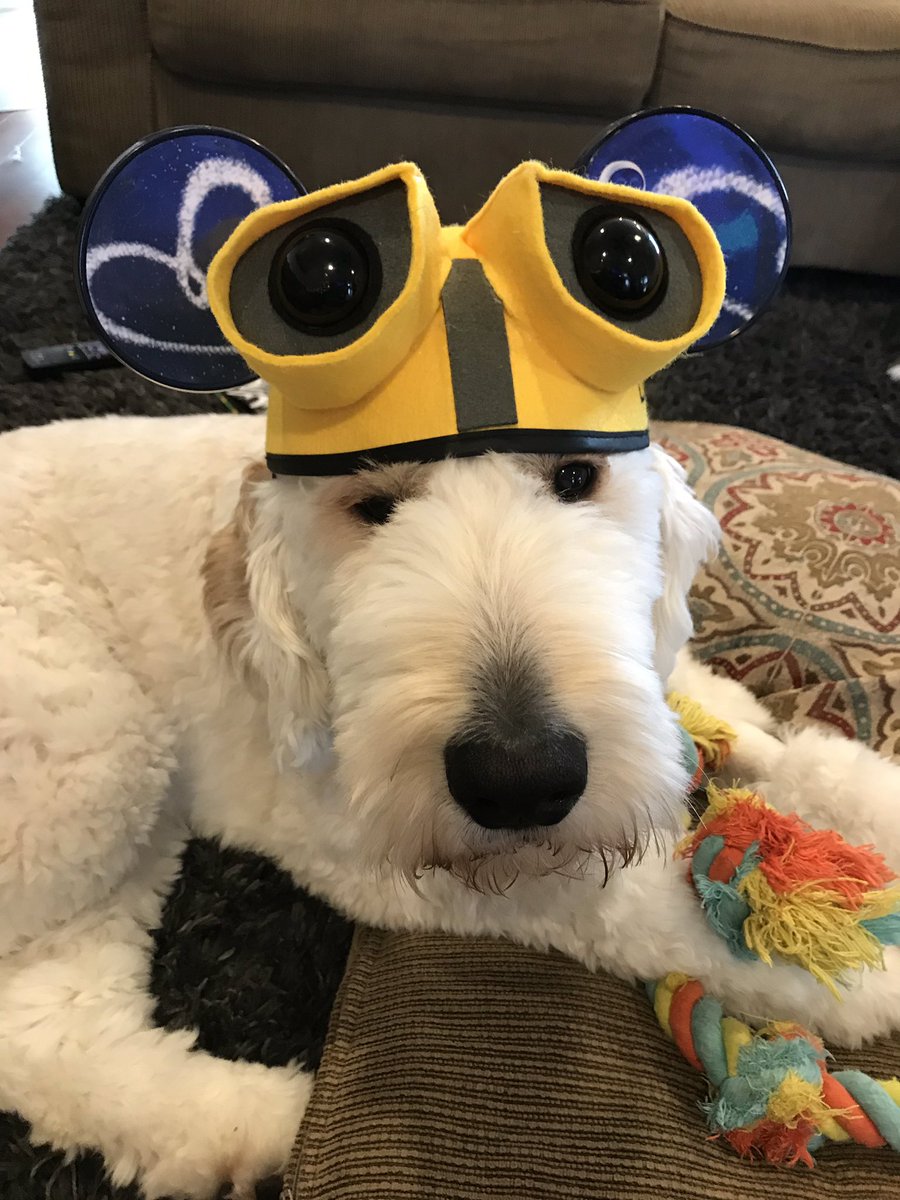 My kids went to Disney two weeks ago (and left me here!).  All I got were these “ears”.