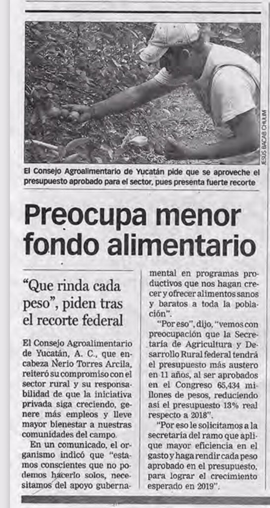 CNA Yucatan tweet media