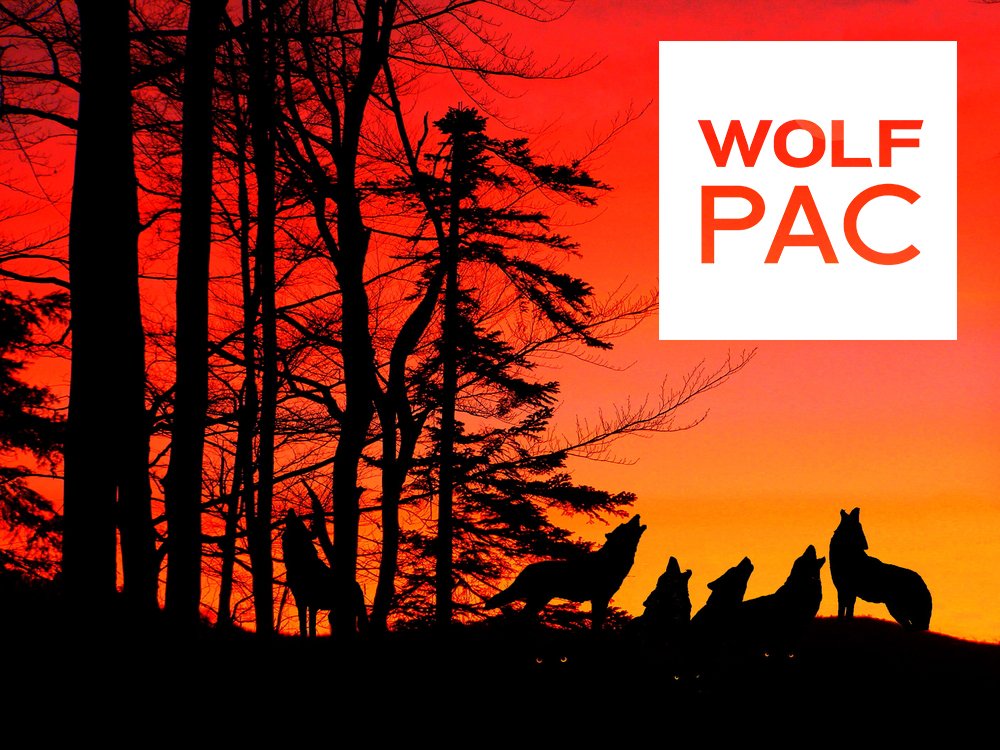 WhyWeWolfPack's tweet photo. Only FIVE days left! Will you help us reach our goal before January 1st? Become a member of the pack and help us build our power - we are strongest together. https://t.co/Bxemsu7NFI https://t.co/Pk6TDC6Xwq