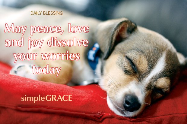 Simple Grace tweet media
