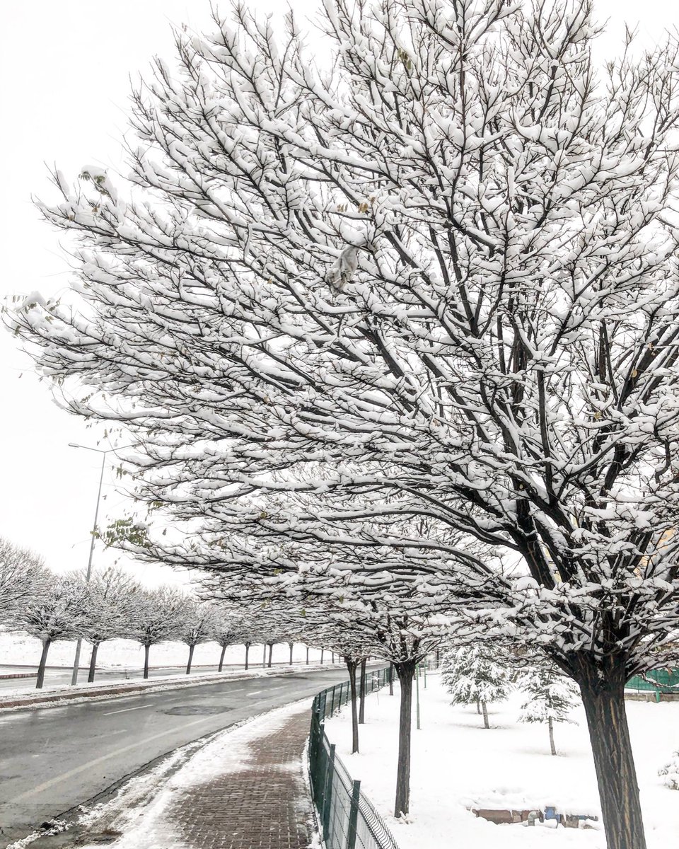 SAMURAIMEDYA's tweet image. 