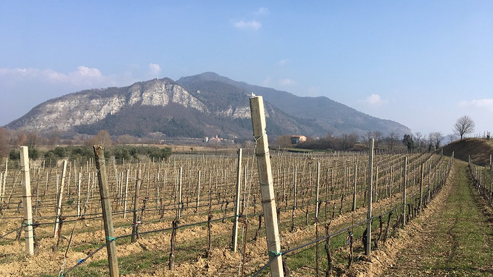 "Franciacorta makes arguably Italy’s best sparkling wines..." Read Ian D'Agata's article, Franciacorta: Bring In The Holiday Season With Italian Bubbles on Vinous now. vinous.com/articles/franc…