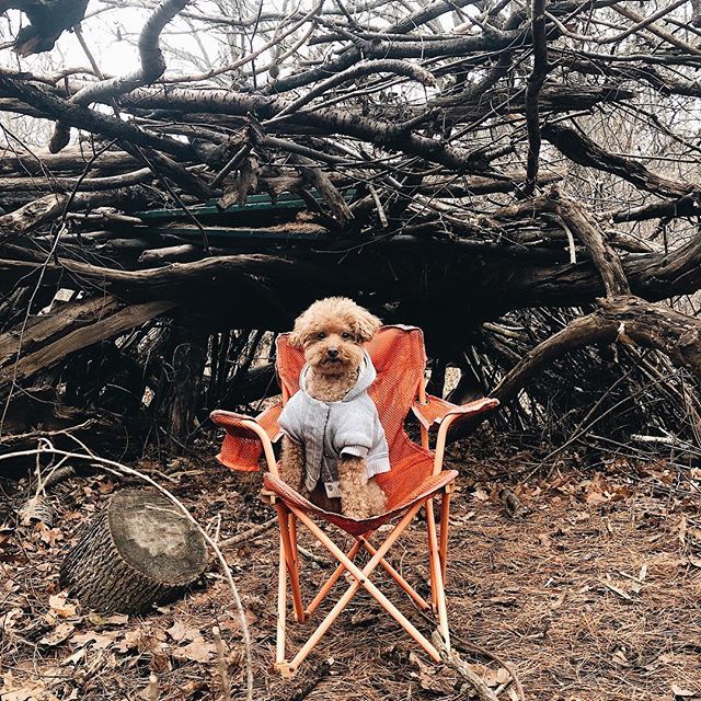 loganslook's tweet photo. Woodsman https://t.co/hcEfF6TUDw https://t.co/cQZGBAKauF