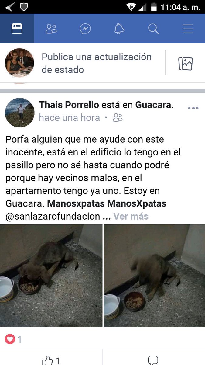 vane2886's tweet photo. Ayuda para este perrito abandonado necesita un hogar por favor https://t.co/sV8KQP1RF6