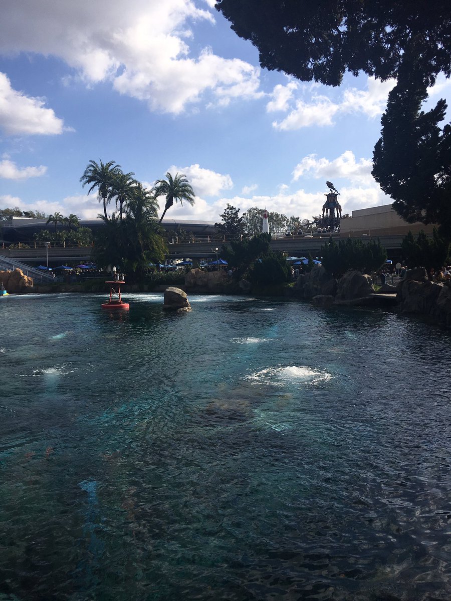 lmatwell10's tweet photo. @n2yinc At Disneyland! It’s super crowded, but always fun! https://t.co/6npyfxg91Y
