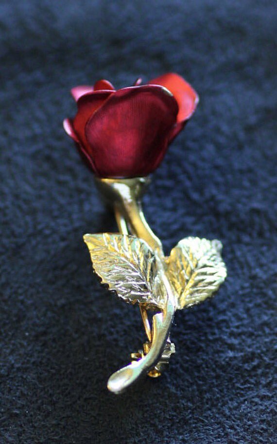 tmbIrpics's tweet photo. 🥀 https://t.co/9gbi6Rth7a