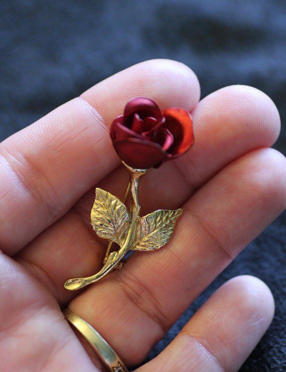 tmbIrpics's tweet photo. 🥀 https://t.co/9gbi6Rth7a